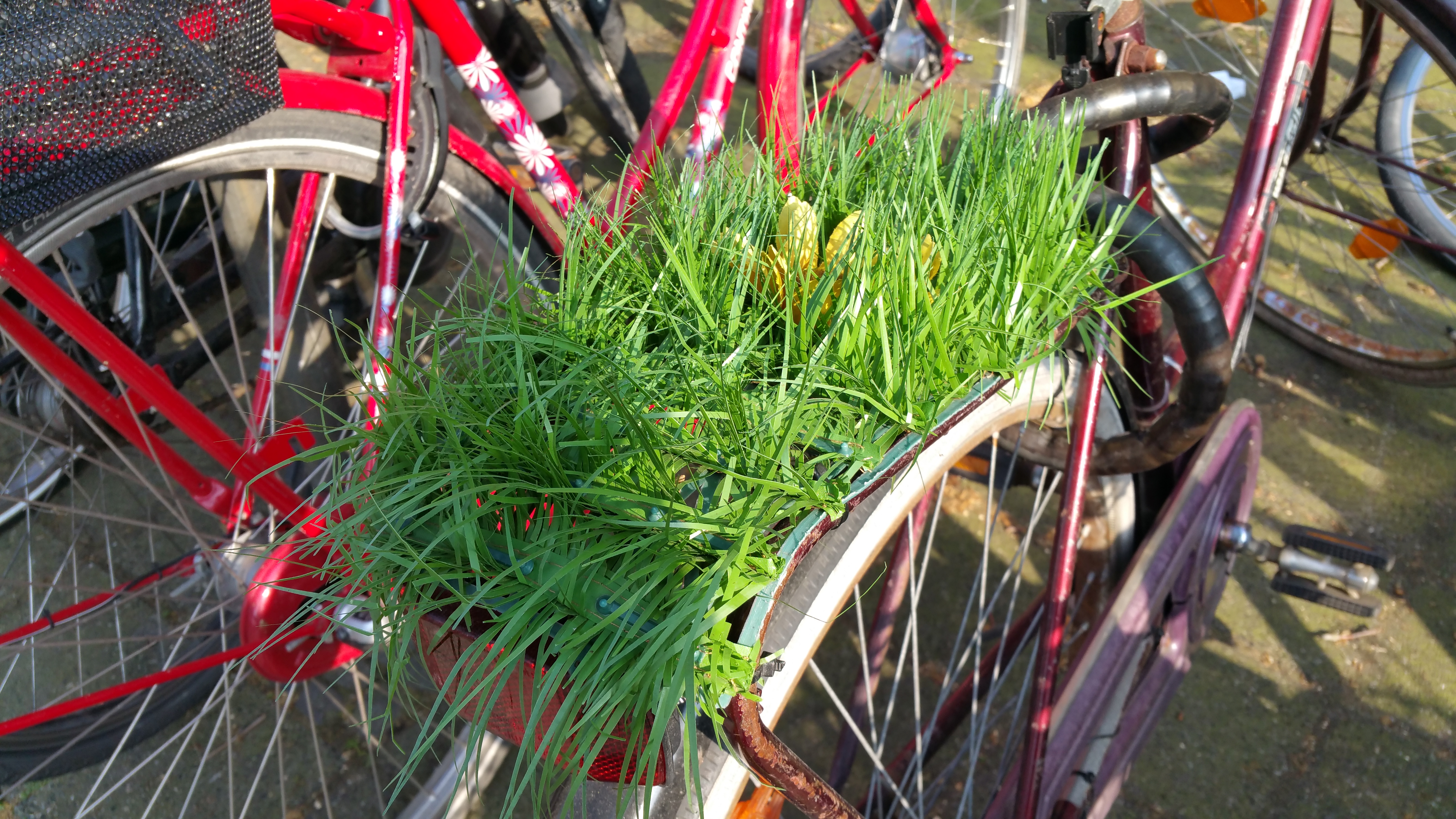 Fahrrad mit Gras